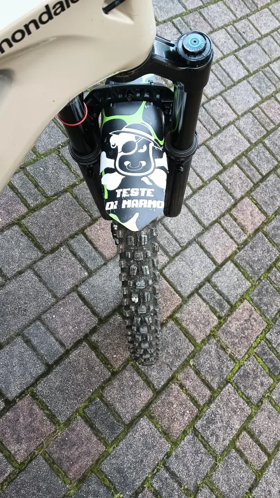 WhatsApp Image 2025-12-14 at 16.01.59.webp