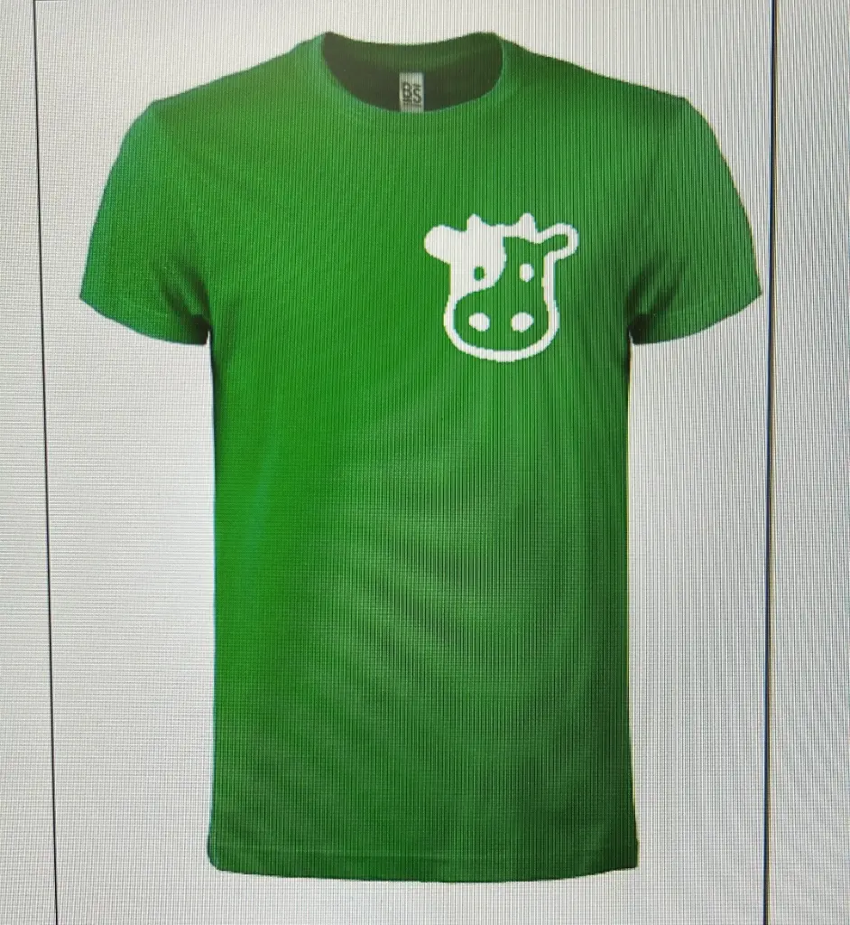 T-shirt verde TDM Pauta